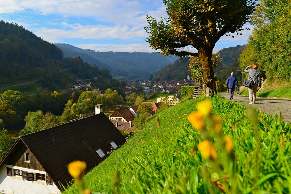 nx6g5nwyamjnzapqsbl-o