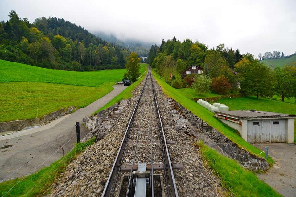 ny3oqq43y7ngzztmoj3-o