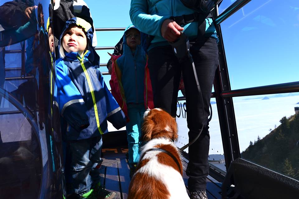 ny3owcf6ozxcfkbn2n1-o