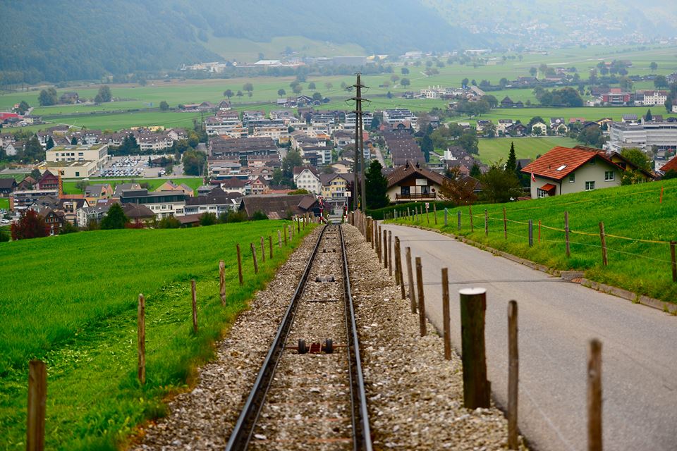 ny3q33fb1nogmgowfet-o