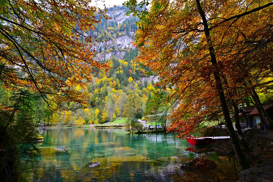 o227qu9cub10mtbkdgm-o