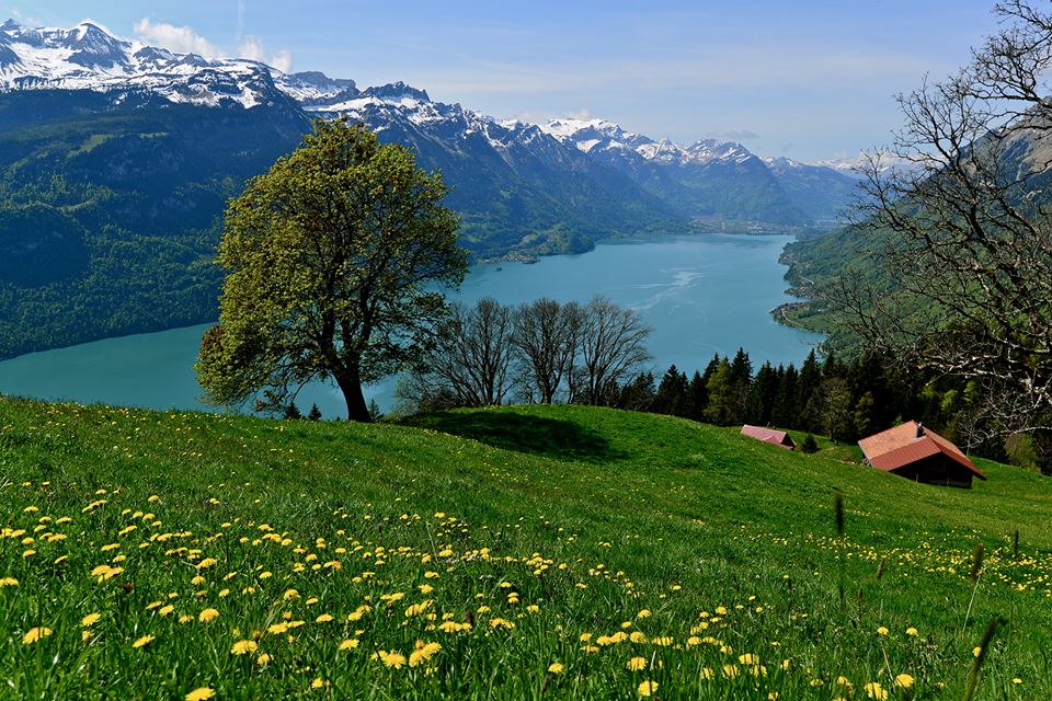 o227v82wx1tralnb3cq-o