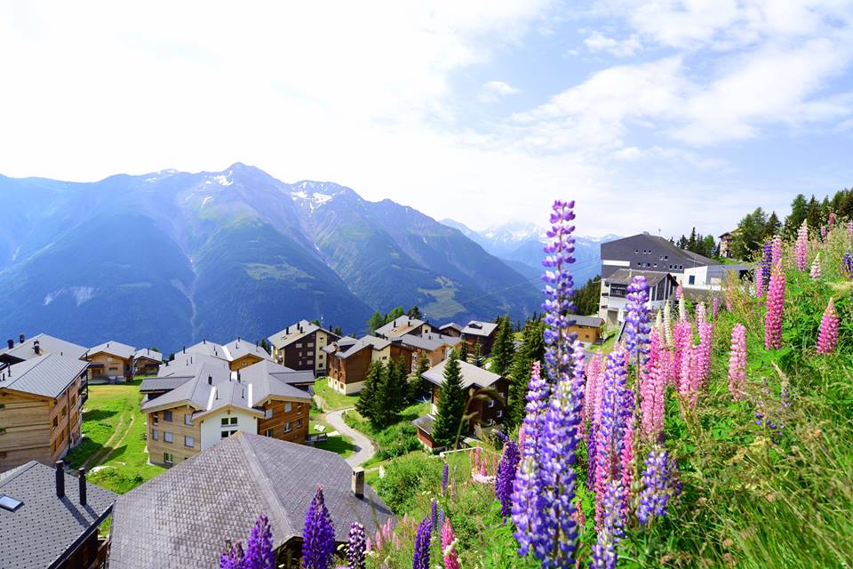 oavqnkcsf9risen6tq4-o