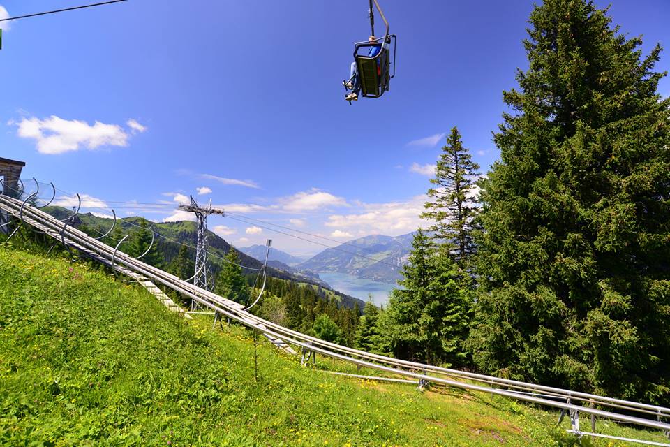 objj06buzvuegs9pfcg-o