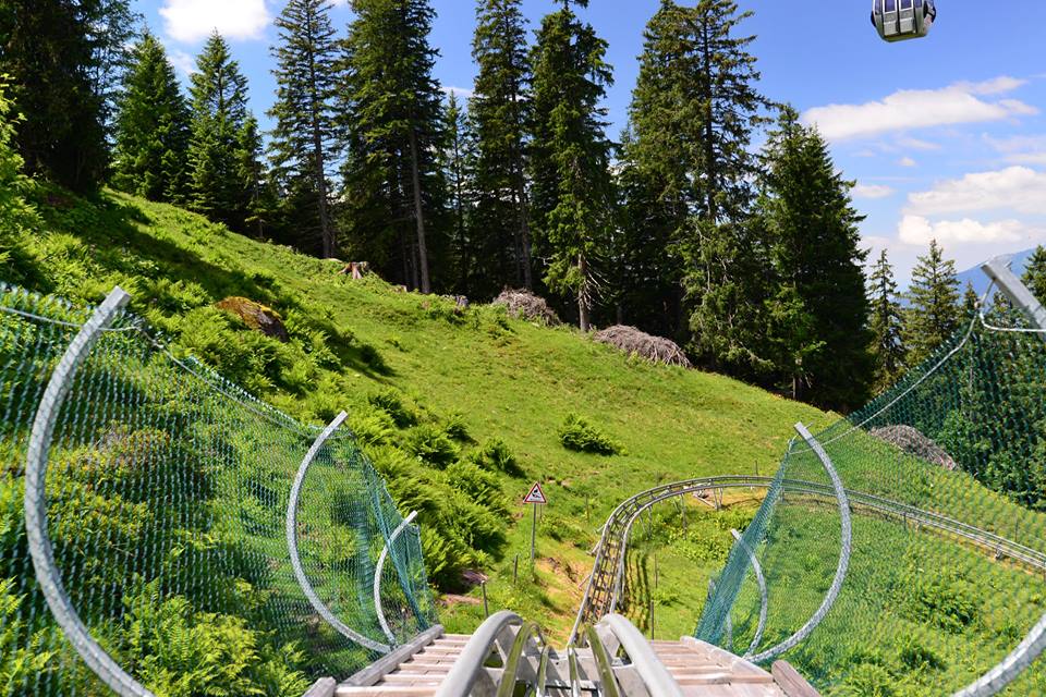 objj5j9rnj518qhg3t6-o