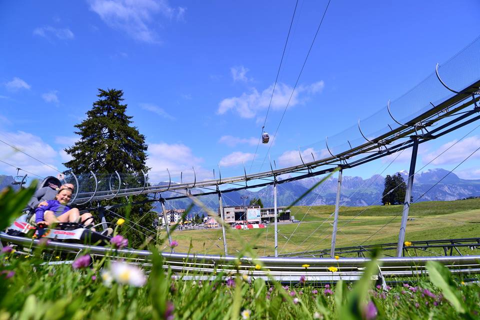 objkyme9c5iiu0mgv3e-o