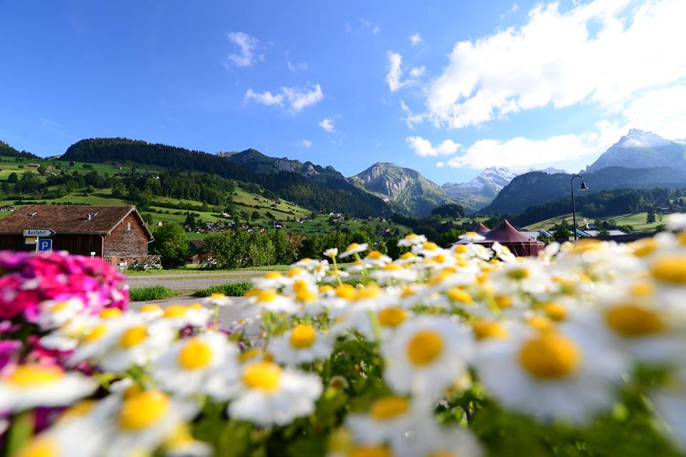 objl6nvez1r2agowa6j-o