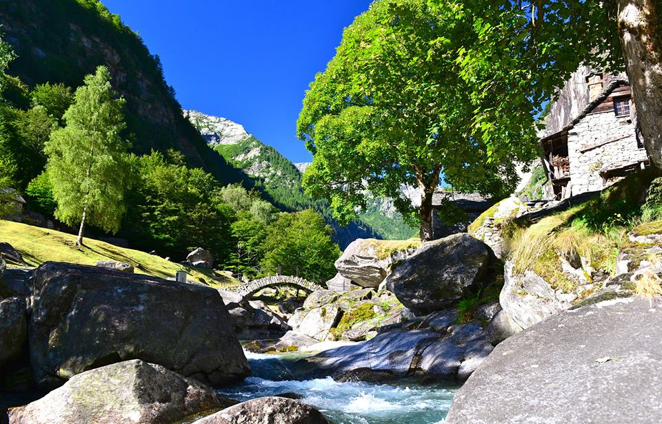 ocid9lws0f467reik0w-o