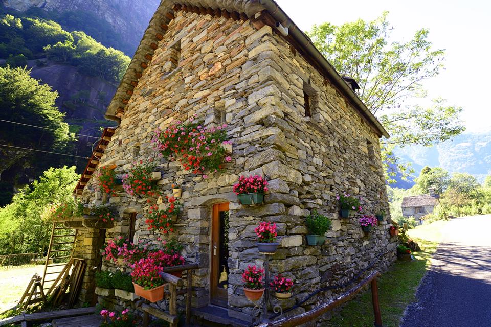 ocidm0n7wadhhfr6ee5-o