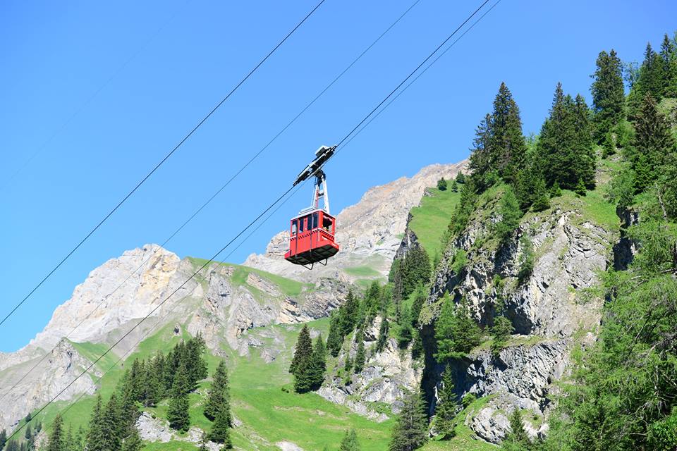 ofcjm2gbi1m4o6zrmxn-o