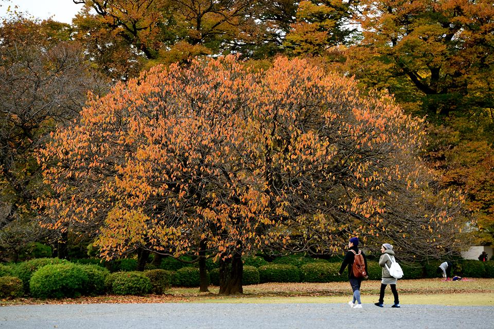 10689474_863091063788925_4105314059979251664_n