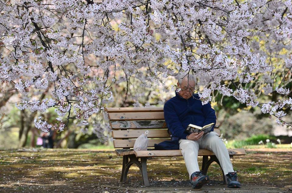 11215198_928820850549279_5889391594149018903_n