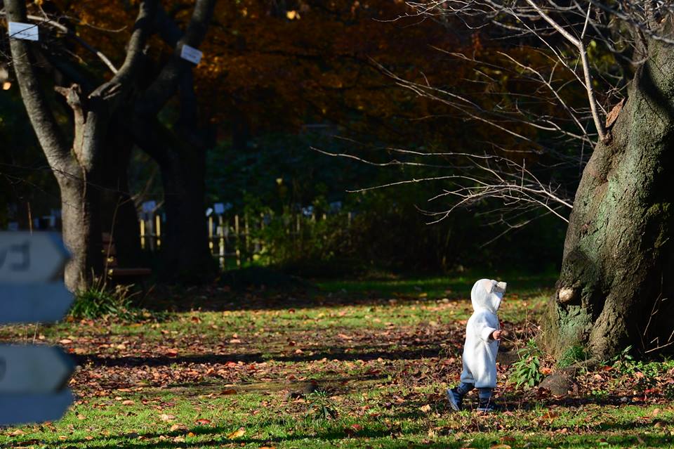 12313634_1121713001202550_2872027091959678638_n