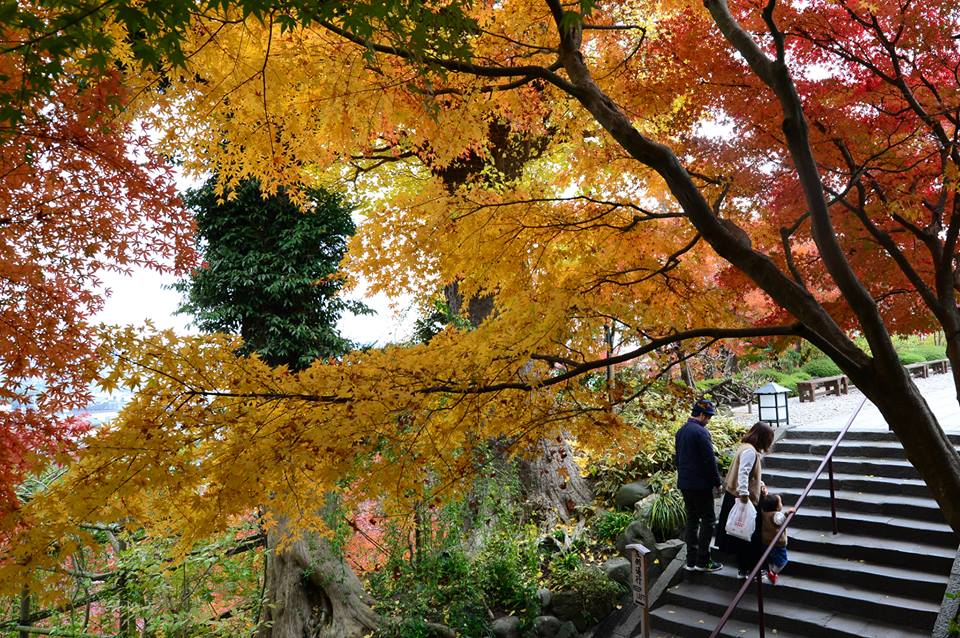 12345535_1121713791202471_2452839894947096574_n