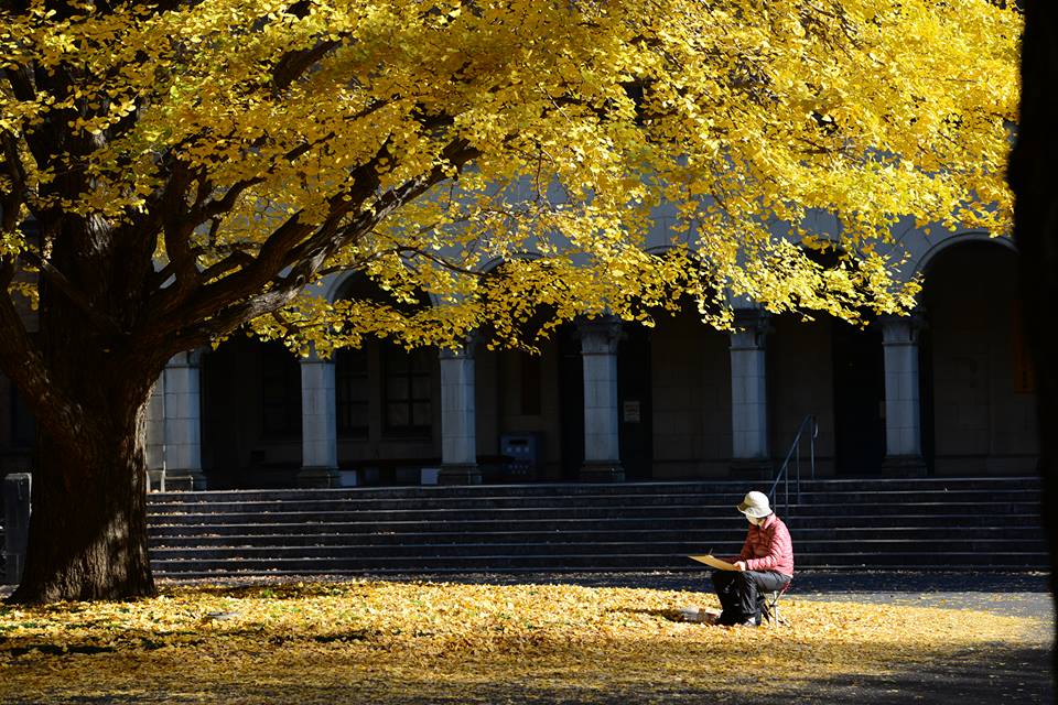 12348127_1120188058021711_8300164488841370122_n