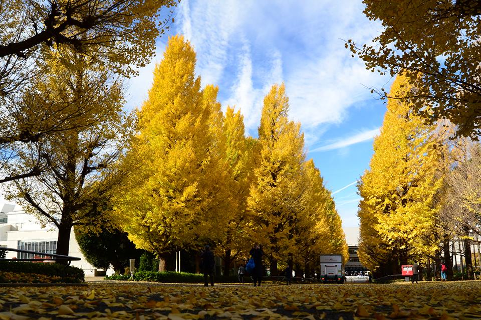 12418021_1532341830428143_447960831989407264_n