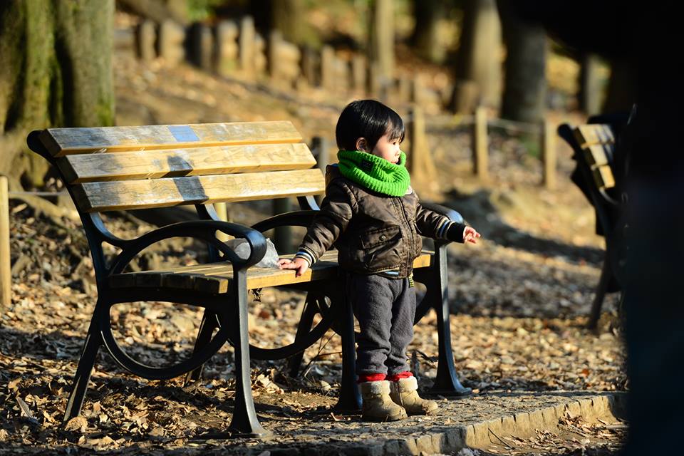 12508786_871104776320887_2358660021650261981_n