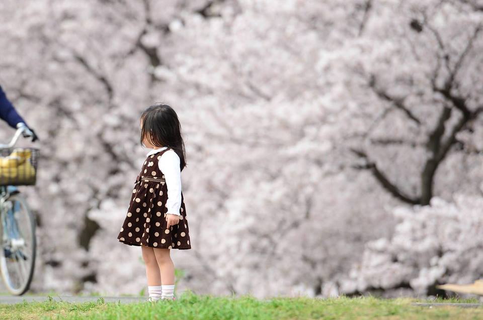 12512341_923027491128615_2892151630772912045_n