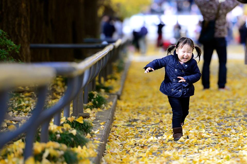 12654546_1532338507095142_8463977846800913816_n