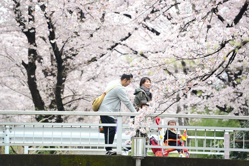 12931214_918129684951729_3881937756407708941_n