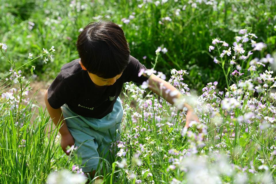 12933103_920473381384026_24787076063194771_n