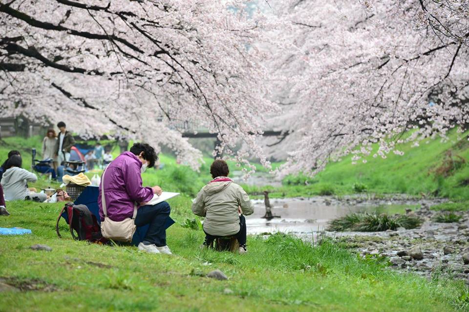 13043372_924939564270741_3232385276682525371_n