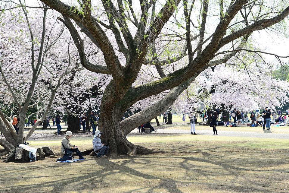 13062163_1583334265328899_1259668847836442312_n