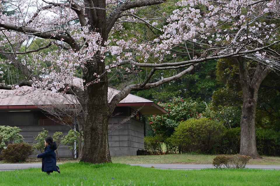 13076714_1583333785328947_6342156789404643128_n