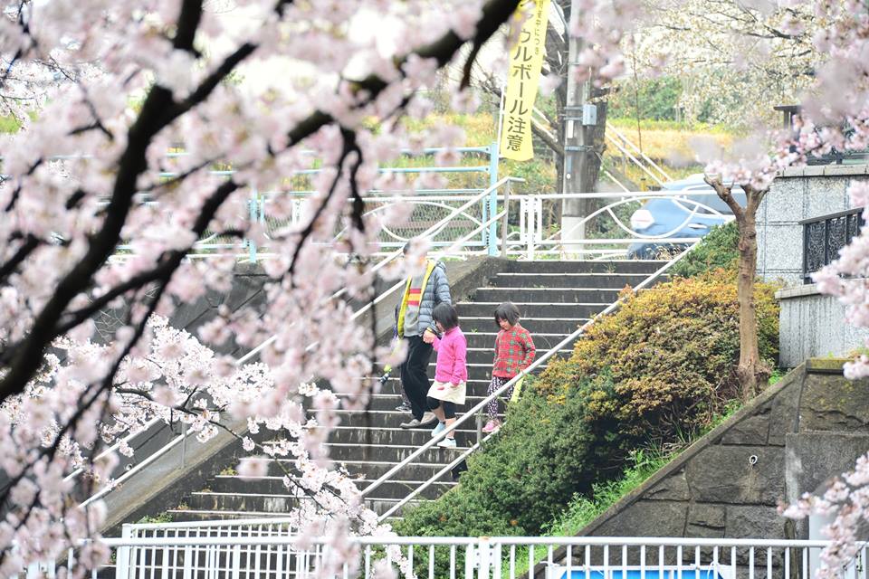 13082721_1583333665328959_5617602831640409588_n