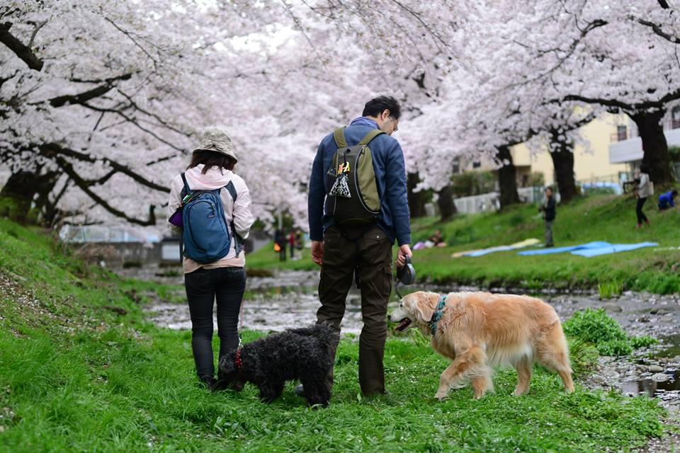 1433694057-1140282014-o