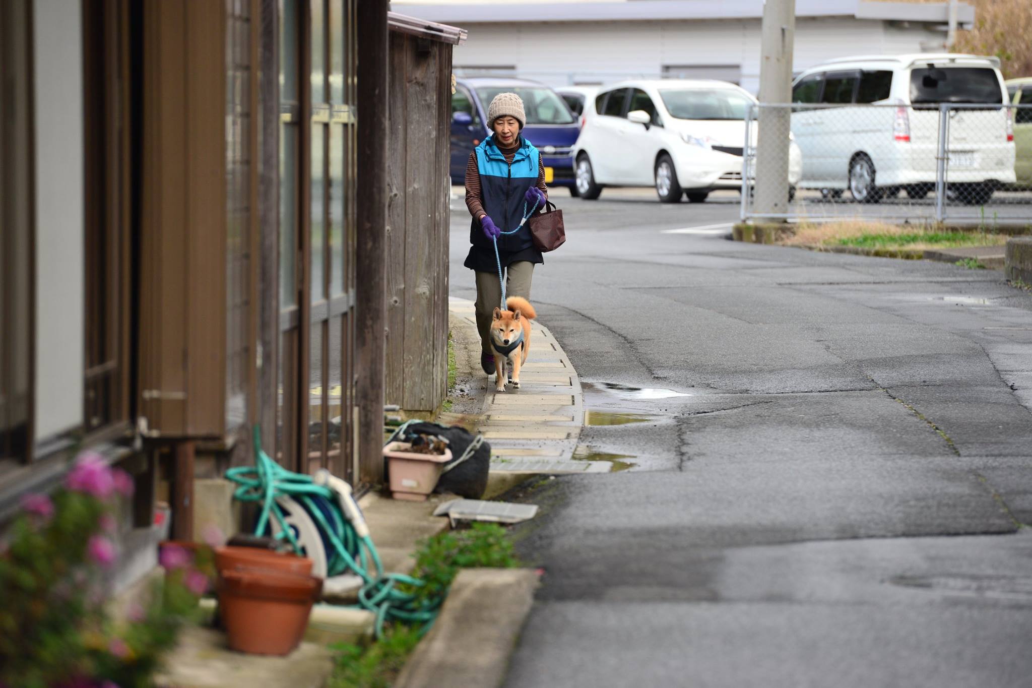 15129063_1429657307074783_391639693161771426_o