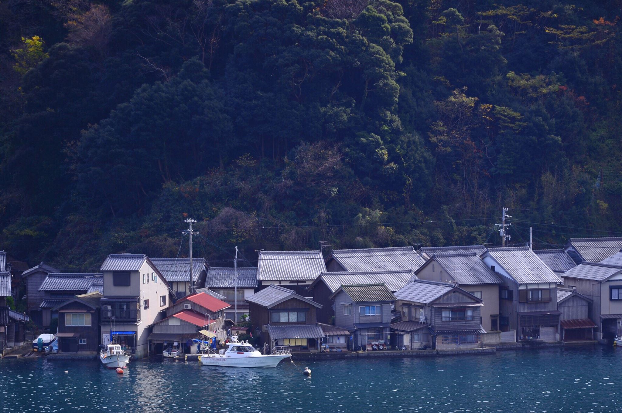 15156986_1429656757074838_3654761075369104564_o