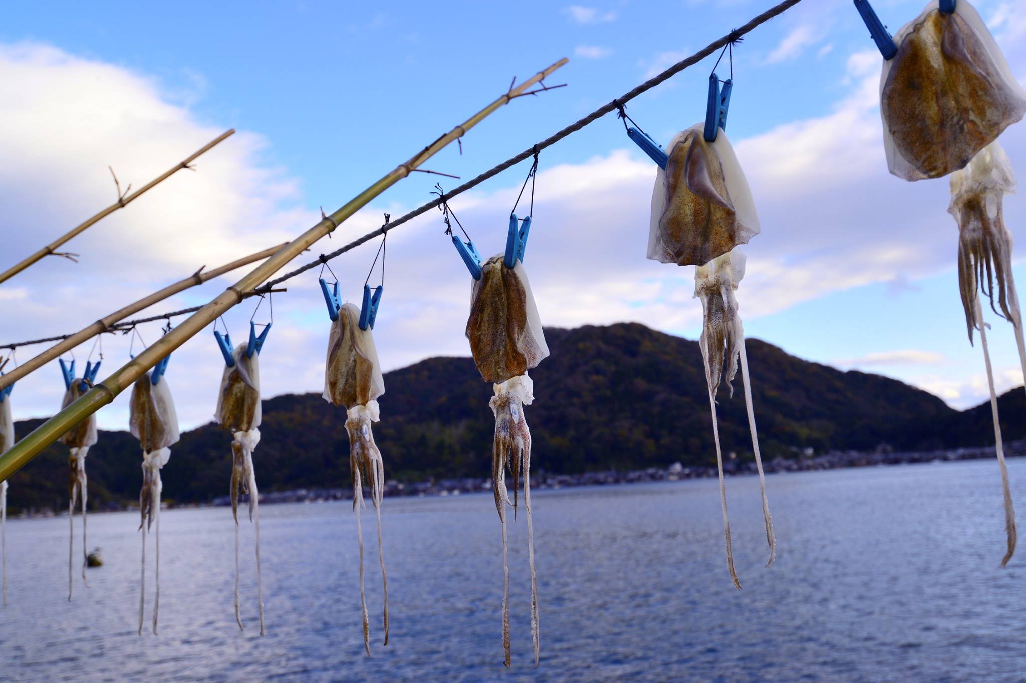 15235386_1429658480407999_7023445892599409243_o