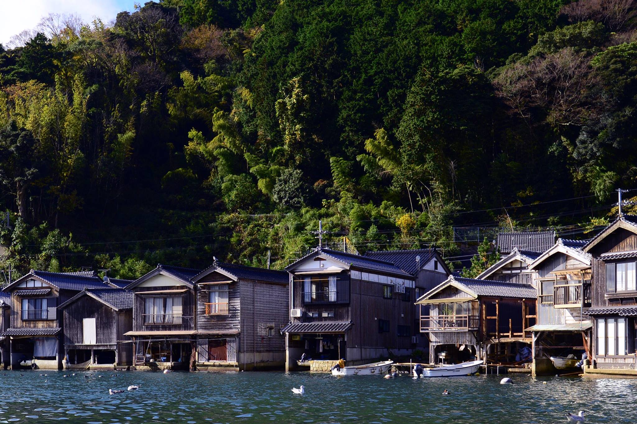 15252589_1429659470407900_1922478391809352034_o