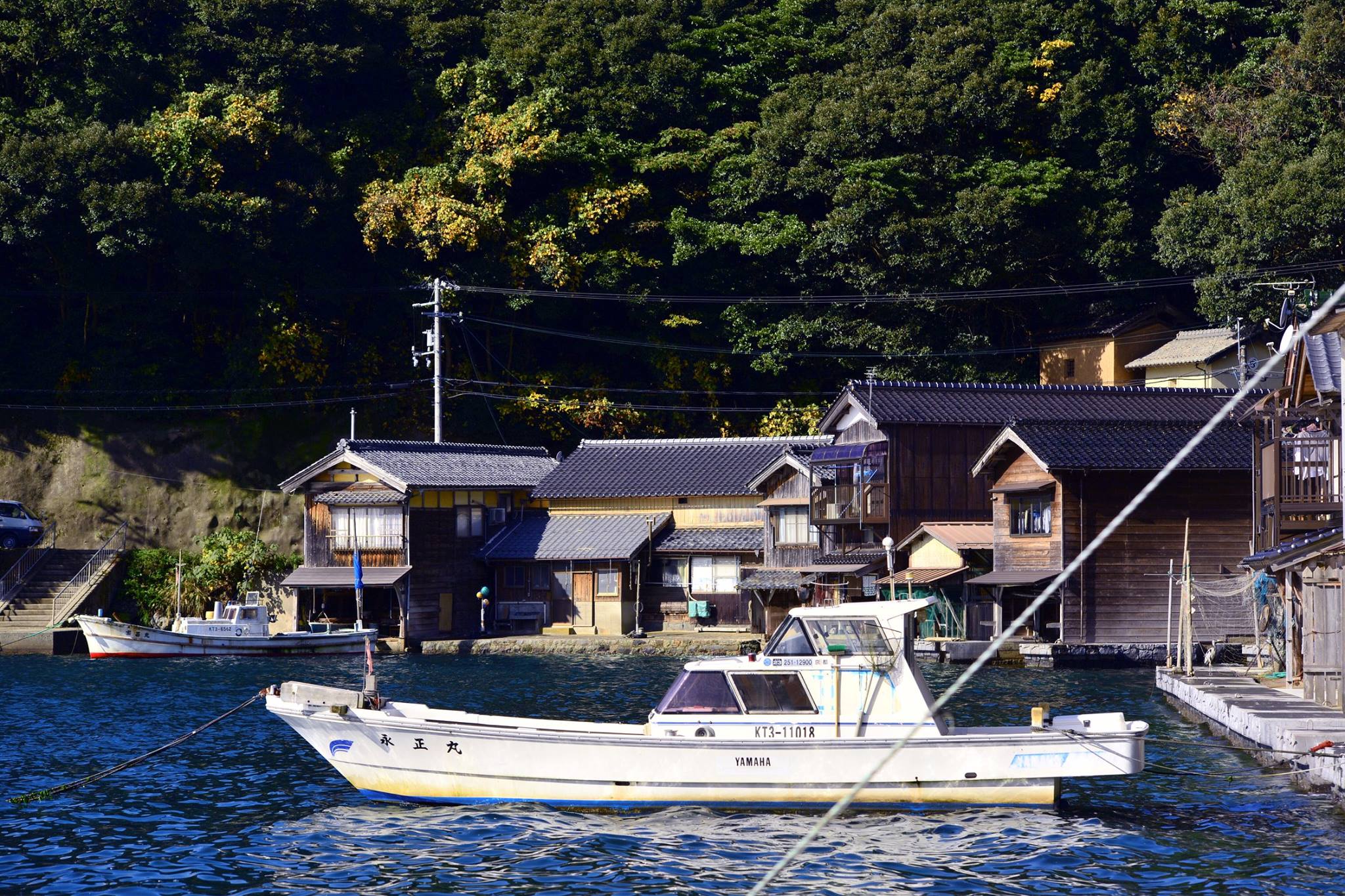 15252674_1429655067075007_4523679449760881154_o