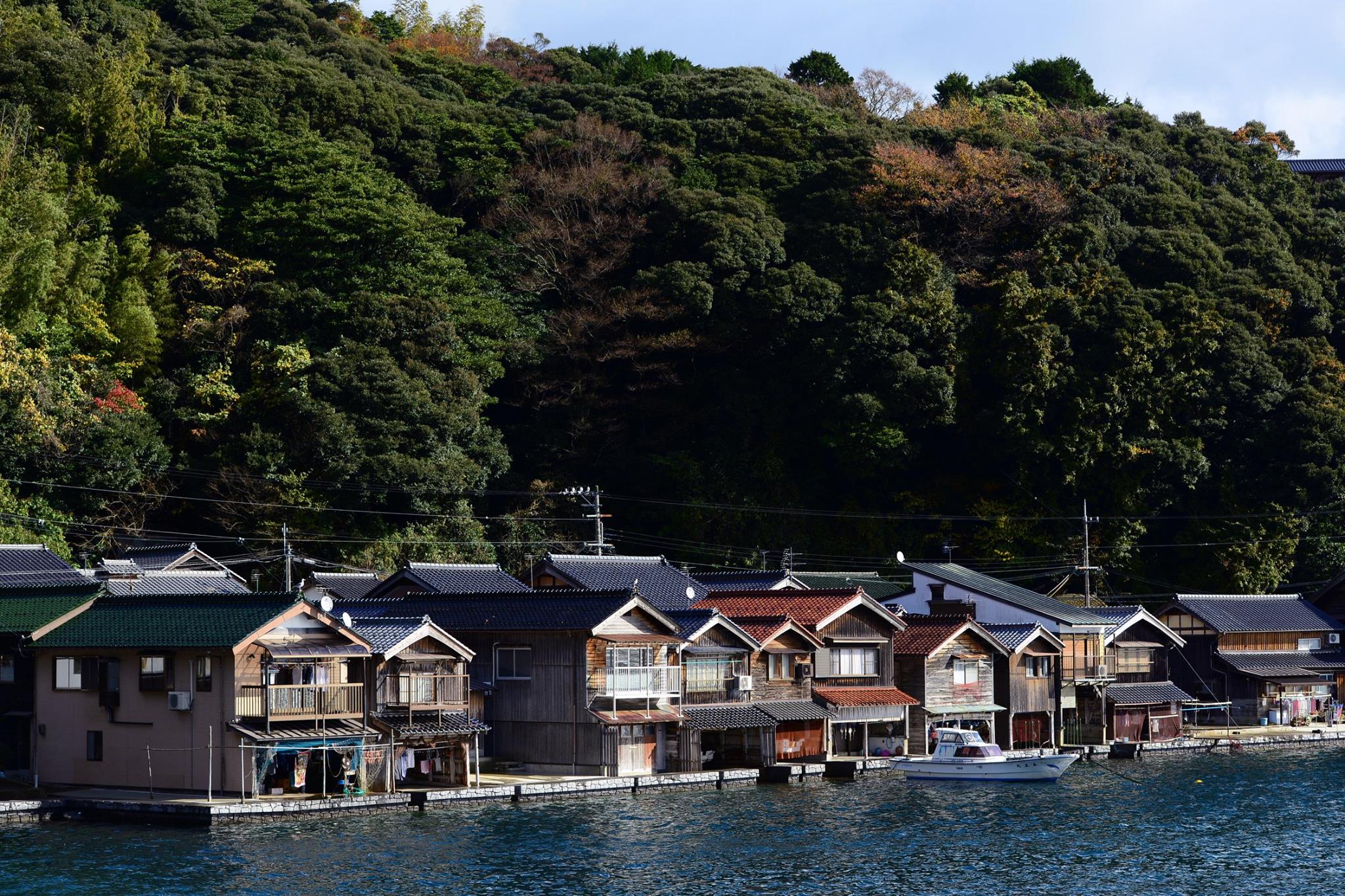 15252691_1429654320408415_2484127451583830939_o