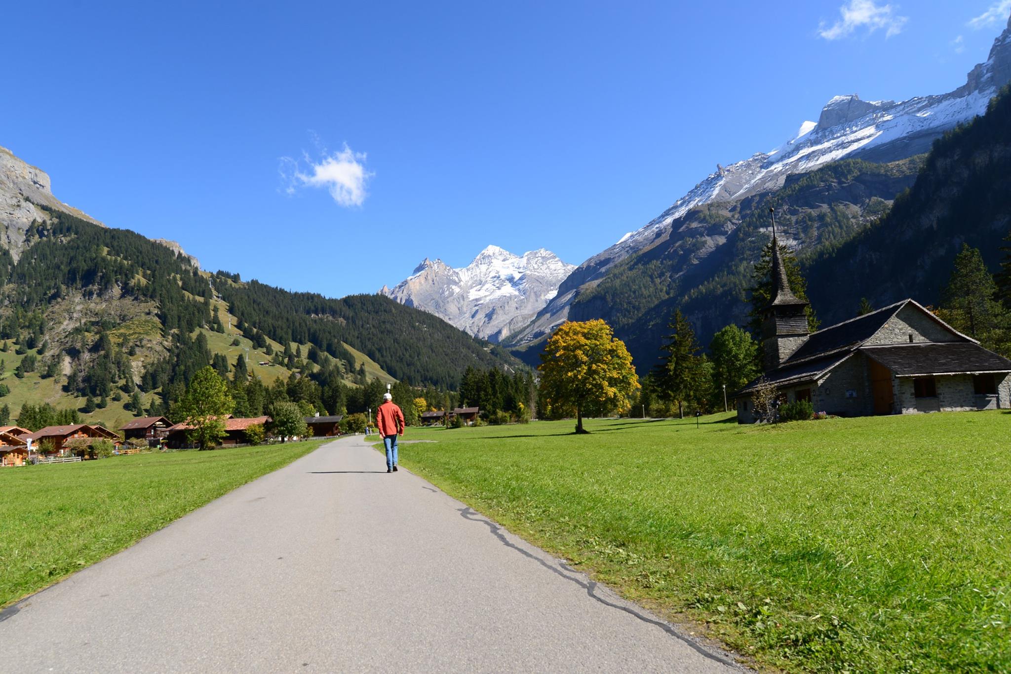 16402528_1733050990357225_739063087580523729_o