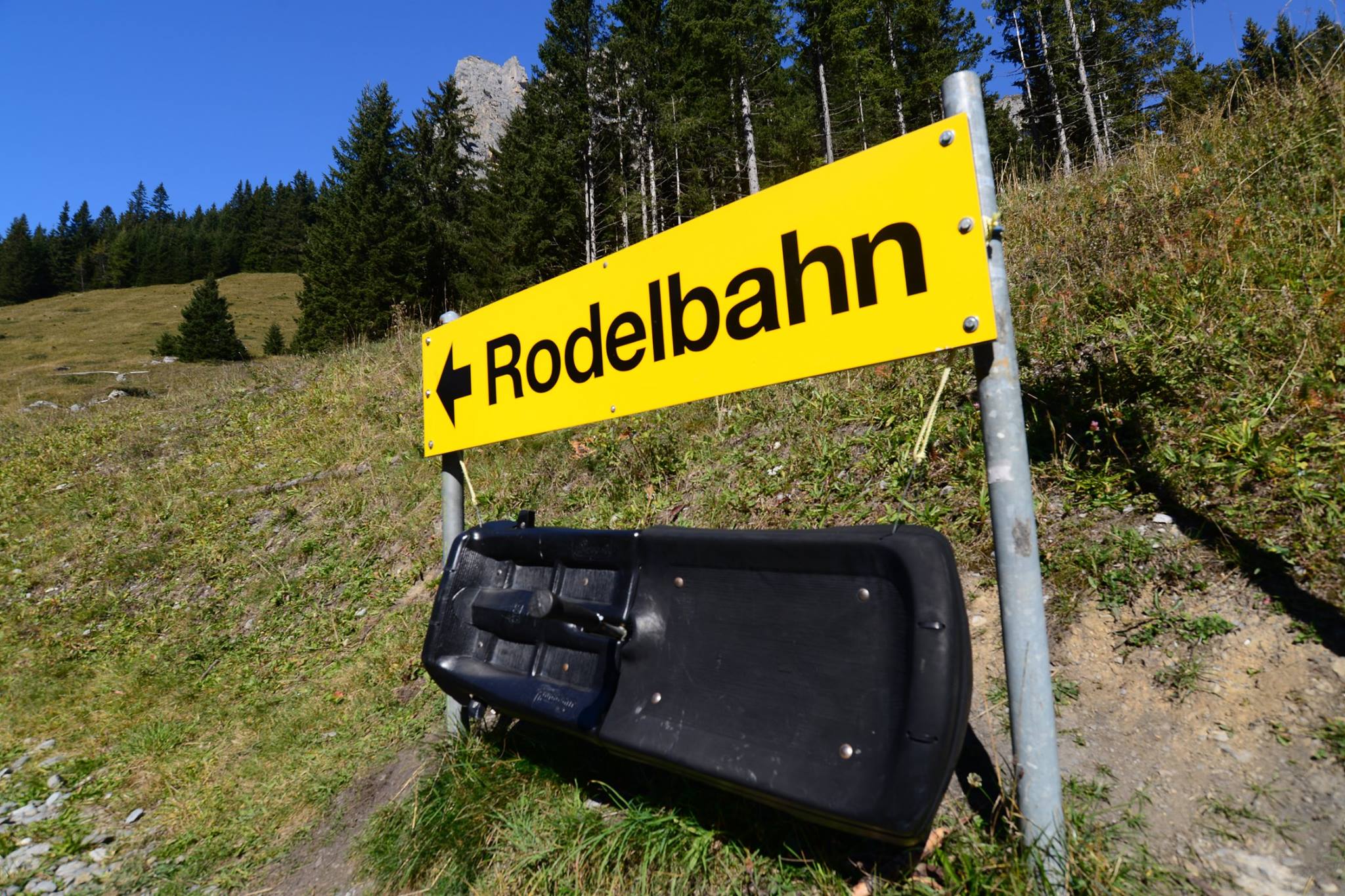 16402757_1733050910357233_100780523954745111_o