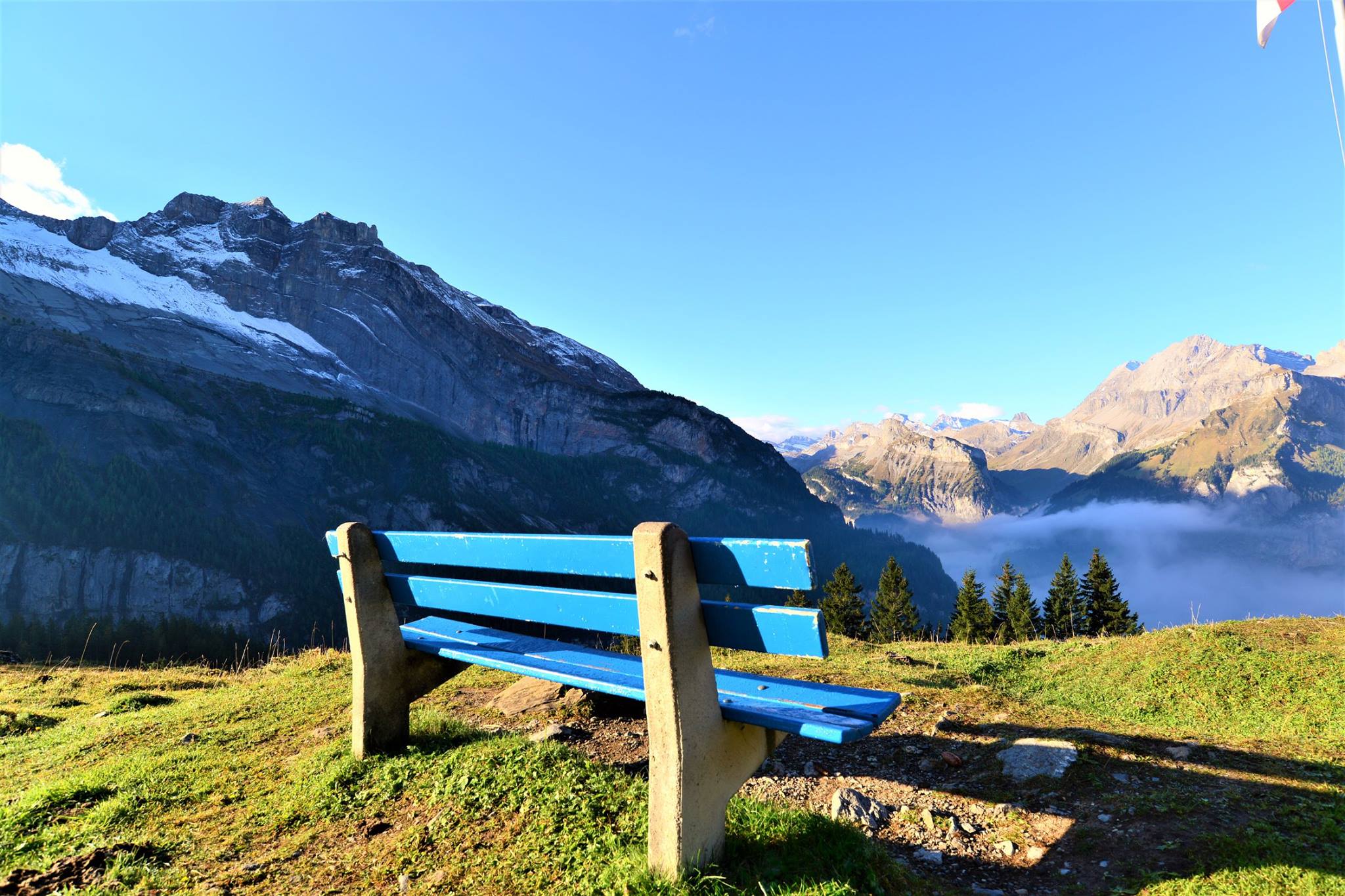 16422805_1733050590357265_6364711409189625236_o