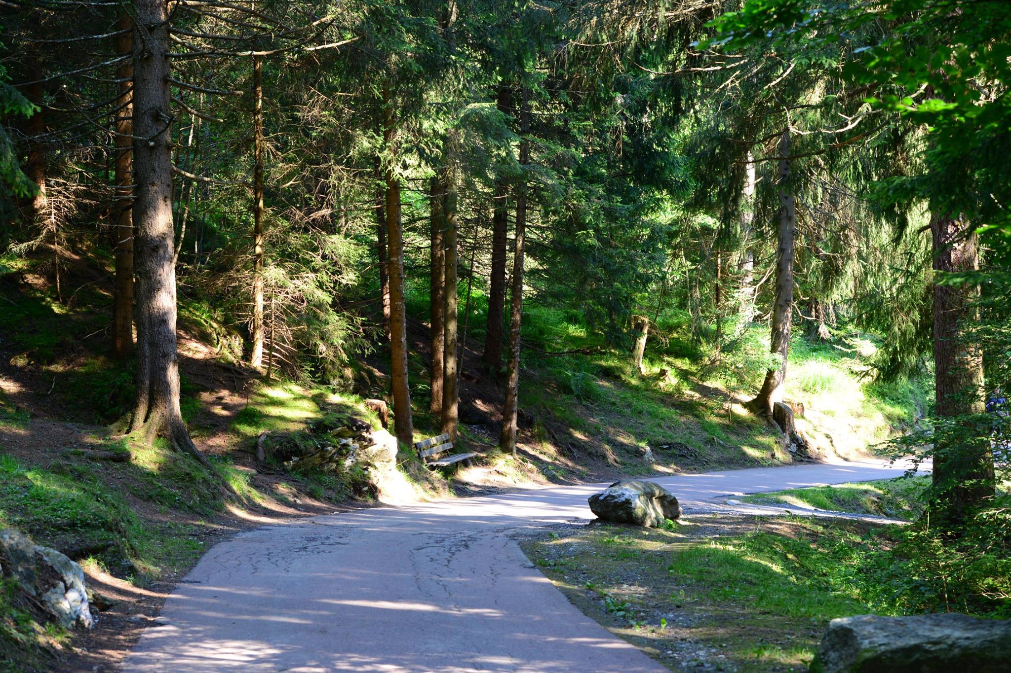 16463062_1735144516814539_1540200838059412515_o