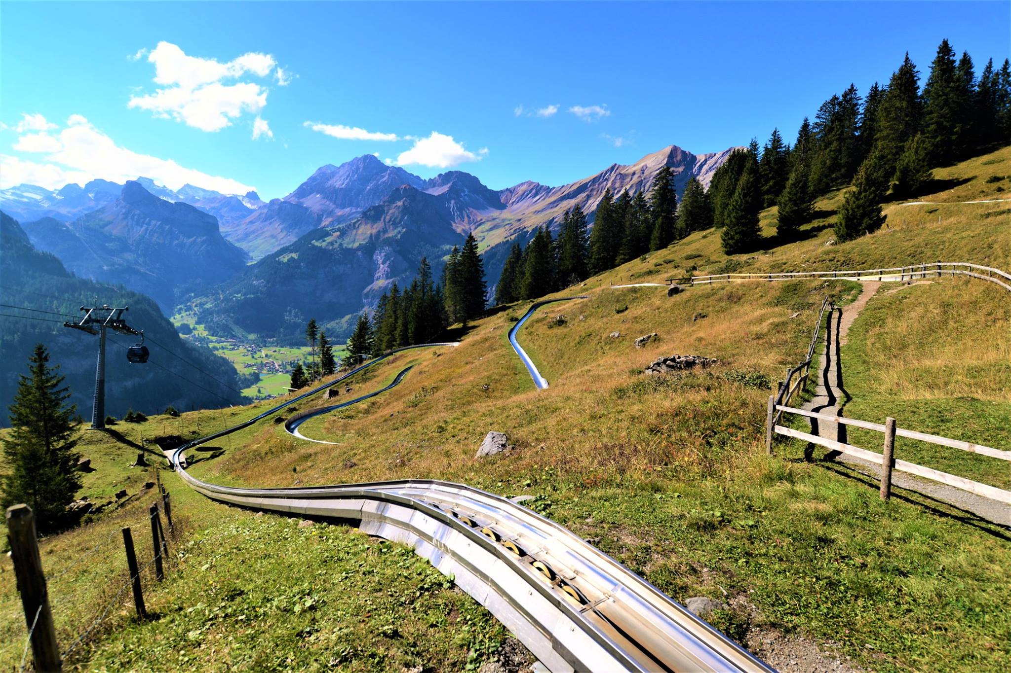 16463208_1733050883690569_5855689209954717_o