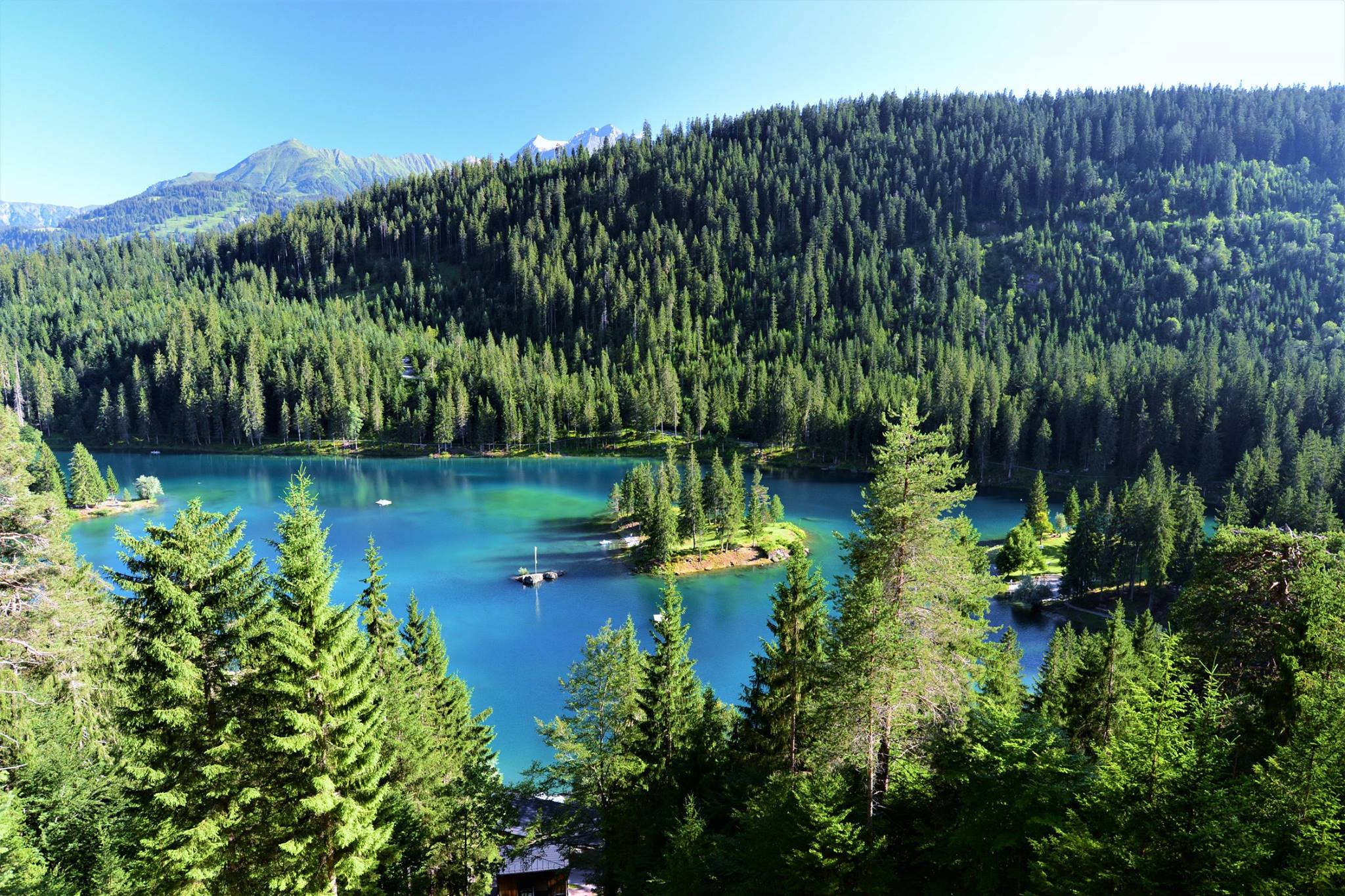 16463401_1735144690147855_5208434806893787442_o