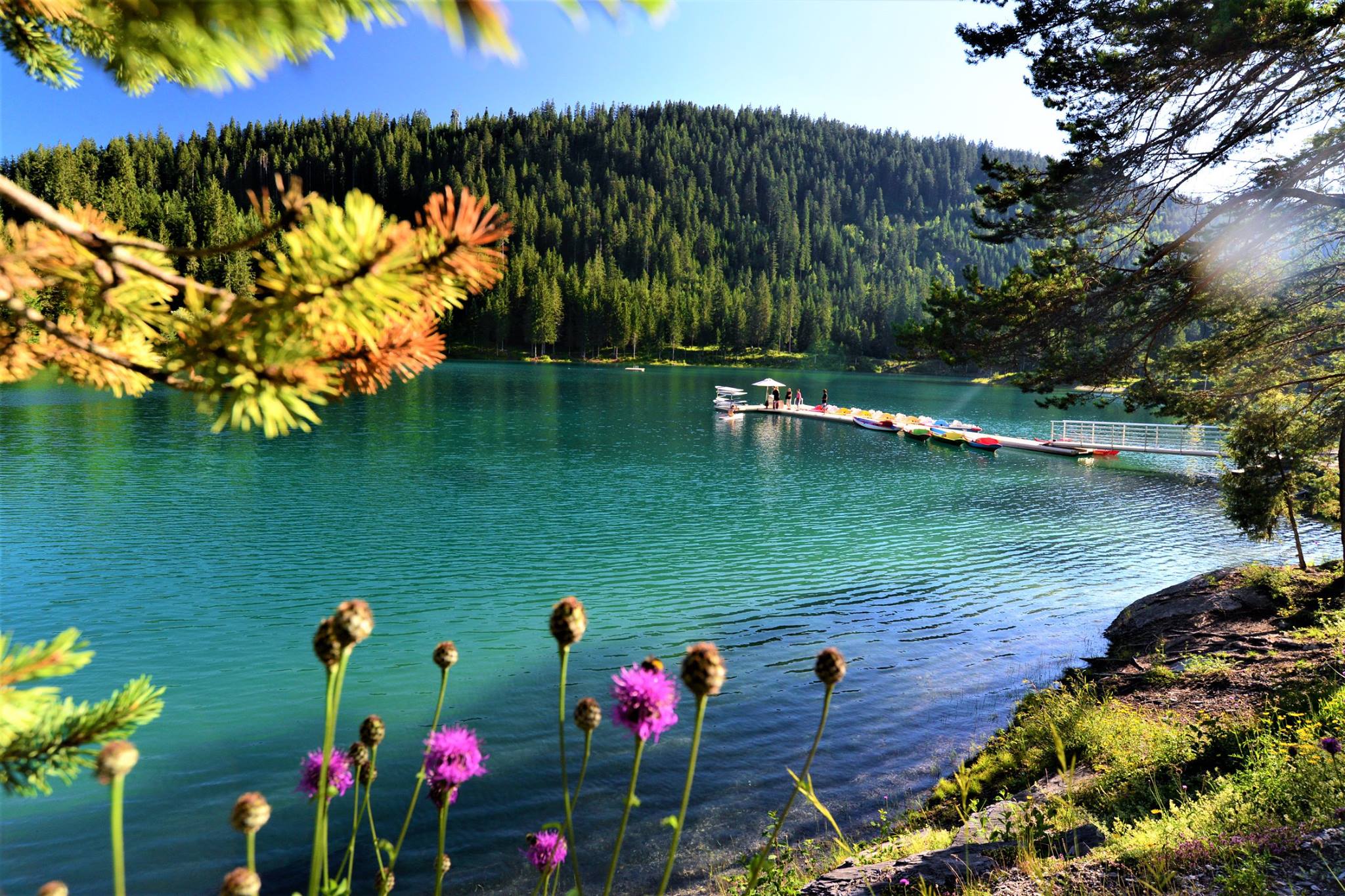 16463665_1735144773481180_1113521202012795819_o