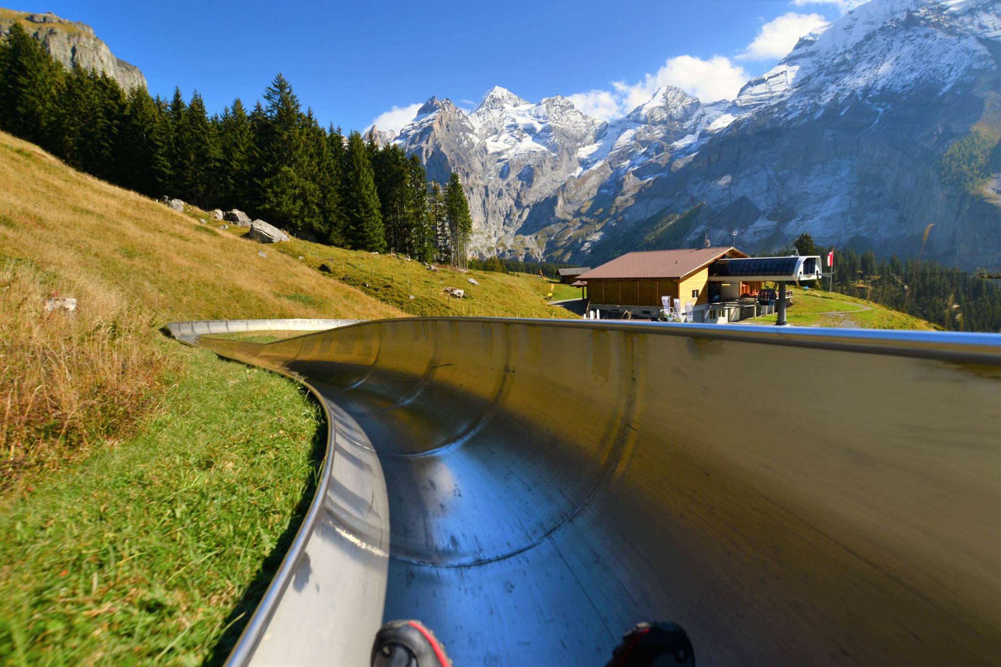 16463784_1733051067023884_5978493568962079438_o