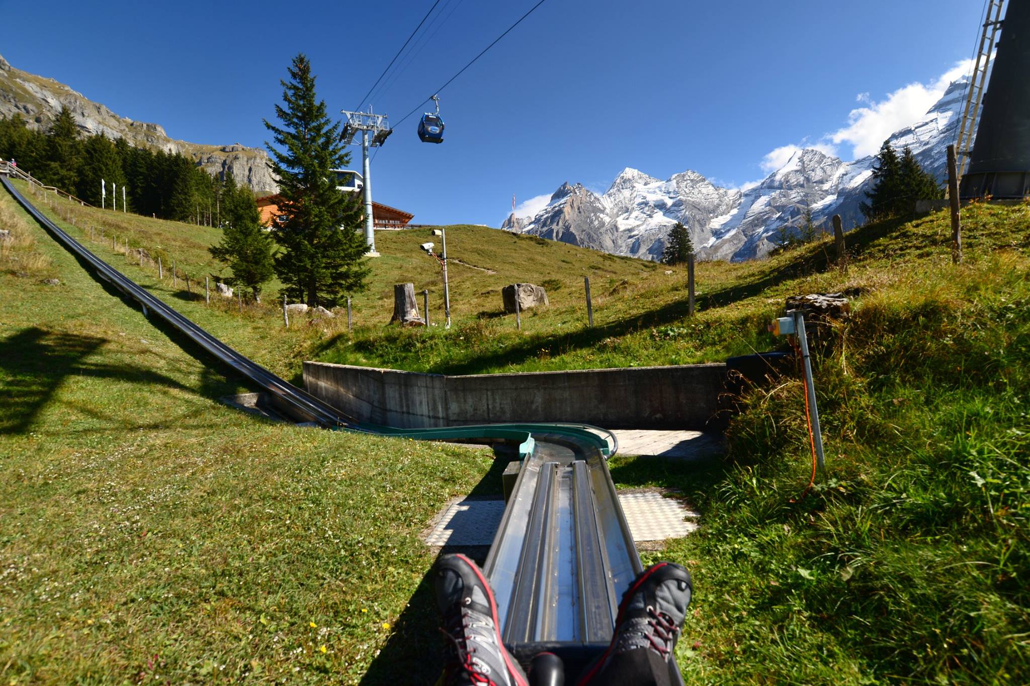 16486950_1733051023690555_7896469536670694572_o