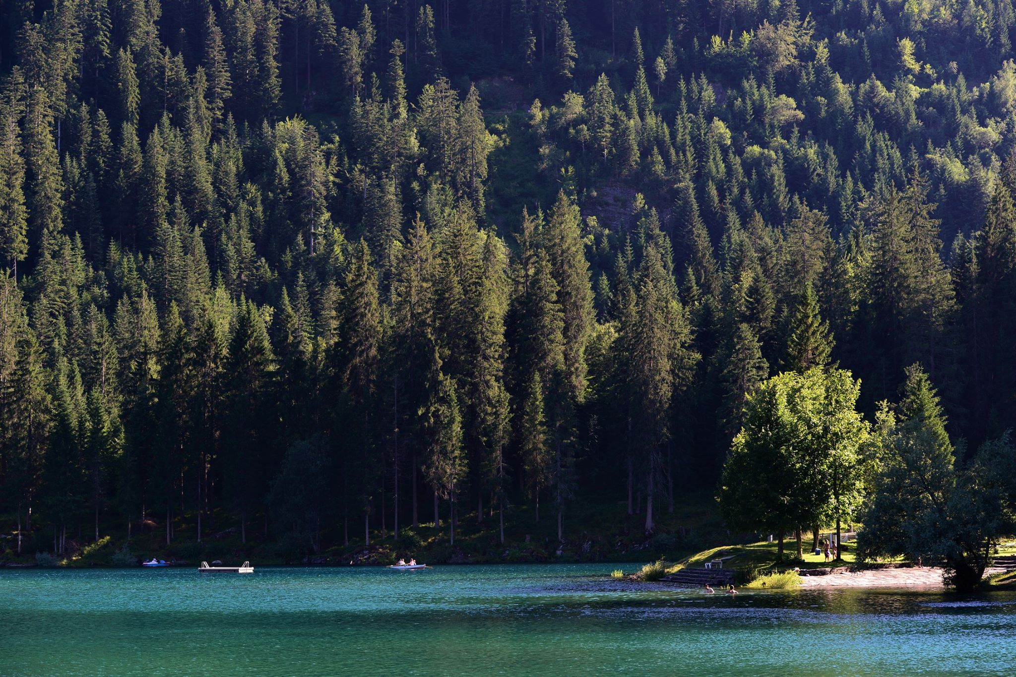 16487017_1735144653481192_375087631759350190_o