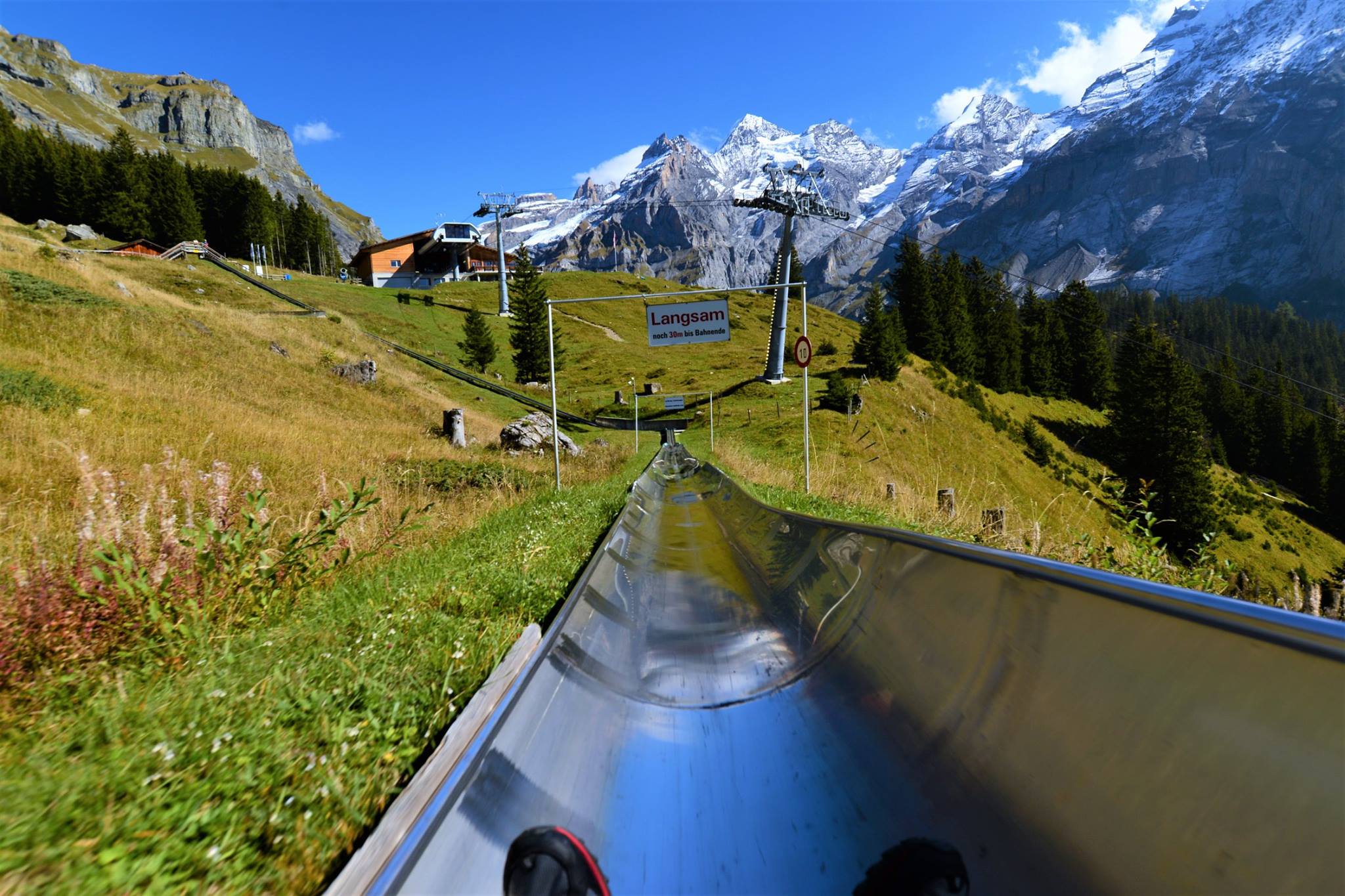 16487227_1733050853690572_7444991712574582958_o