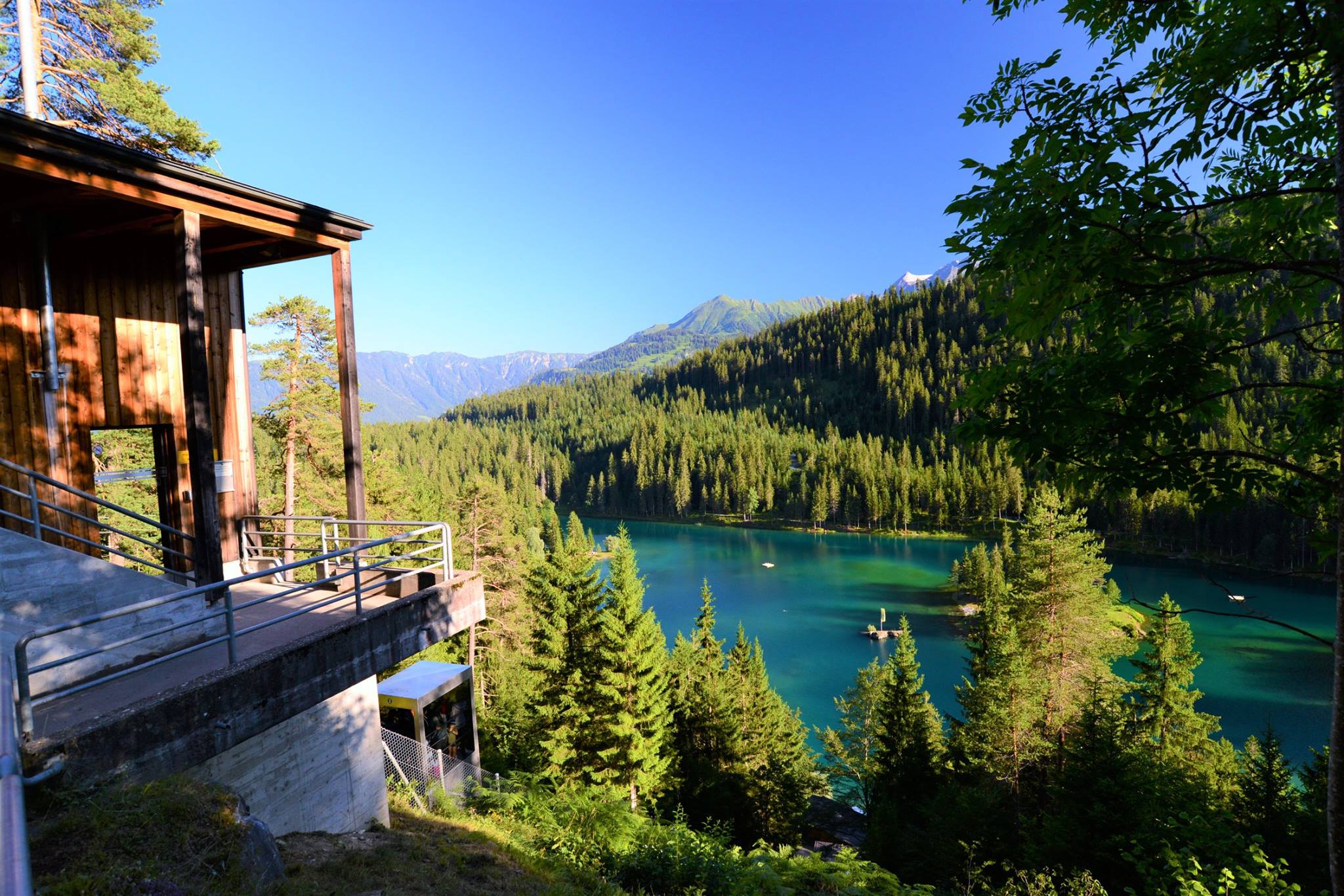 16487704_1735145456814445_795733458932887368_o