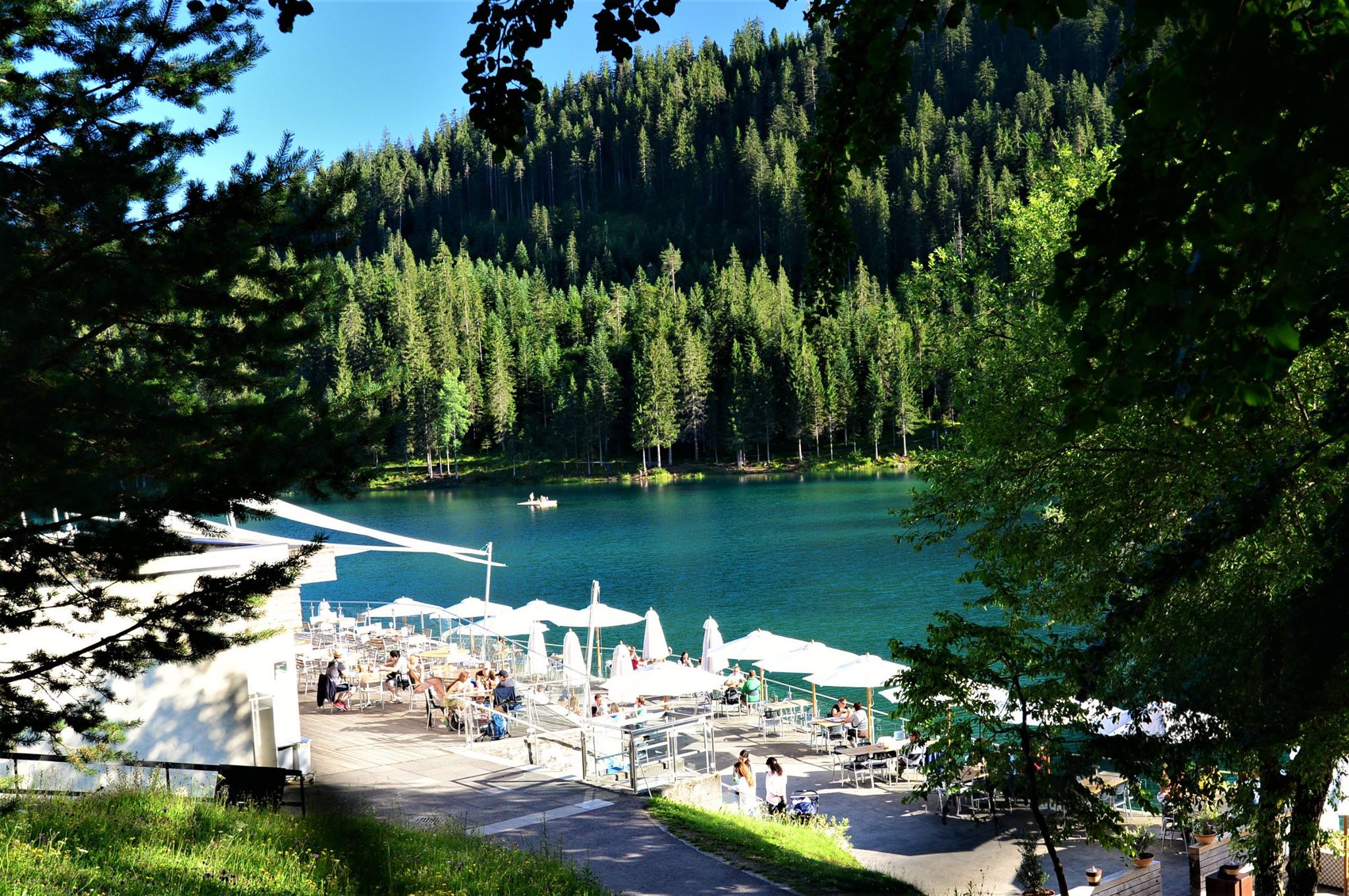 16487826_1735144833481174_5769108873495141728_o