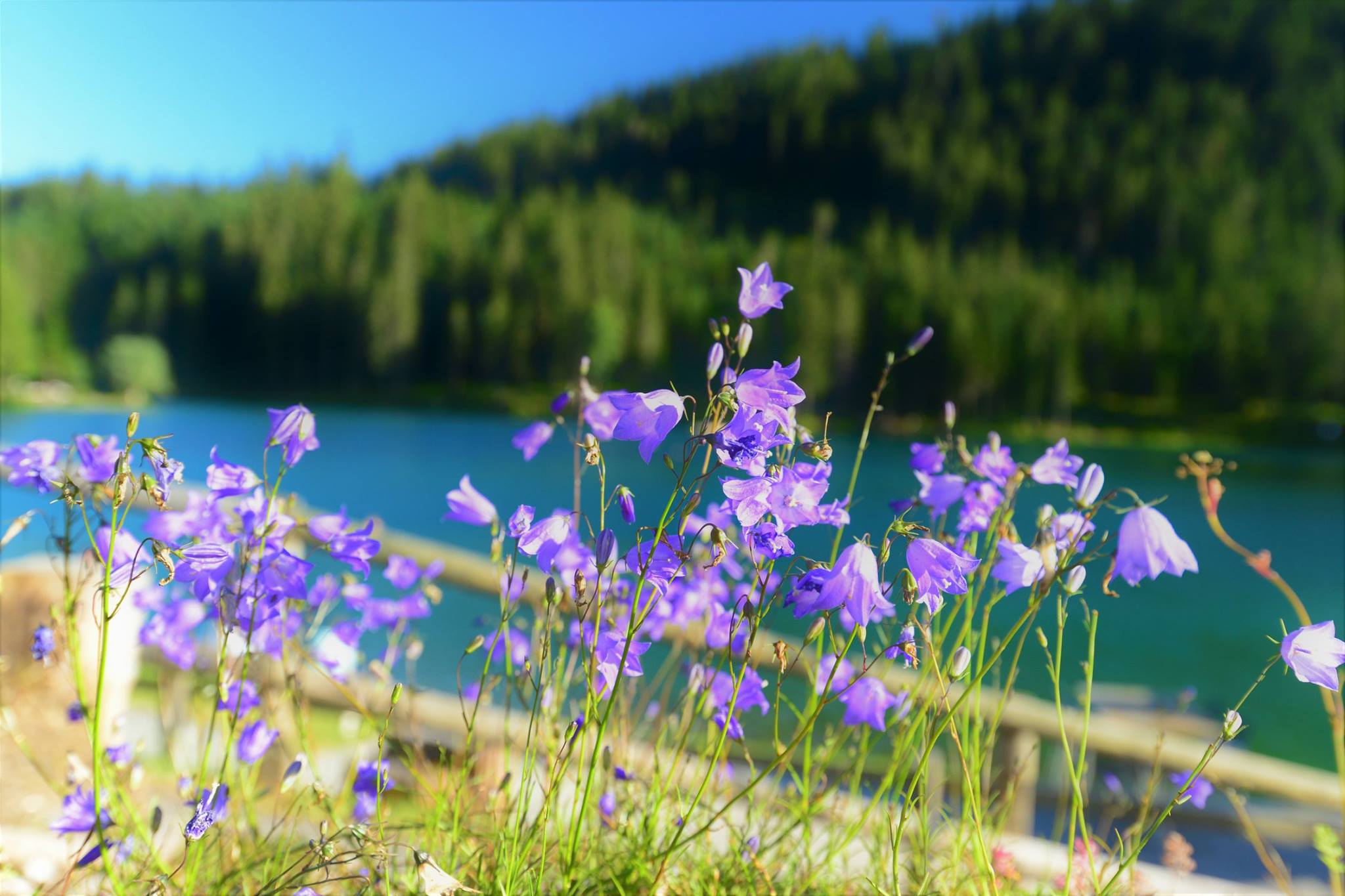 16586895_1735144786814512_6363744723830362439_o